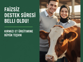 Faizsiz Destek Suresi Belli Oldu